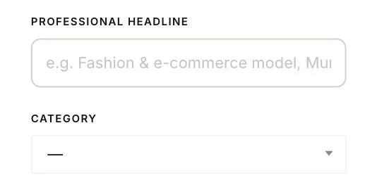 Professional headline and Category fields on the ZJELL Models portfolio form